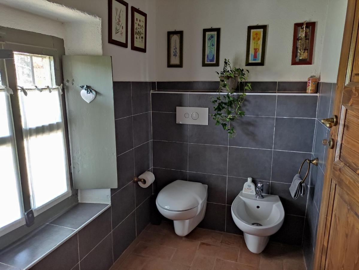 B&B Il Salice Veruno Zewnętrze zdjęcie