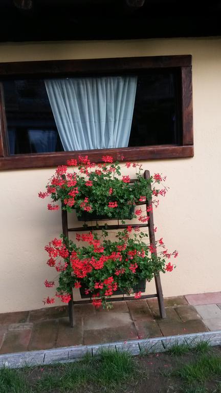 B&B Il Salice Veruno Zewnętrze zdjęcie
