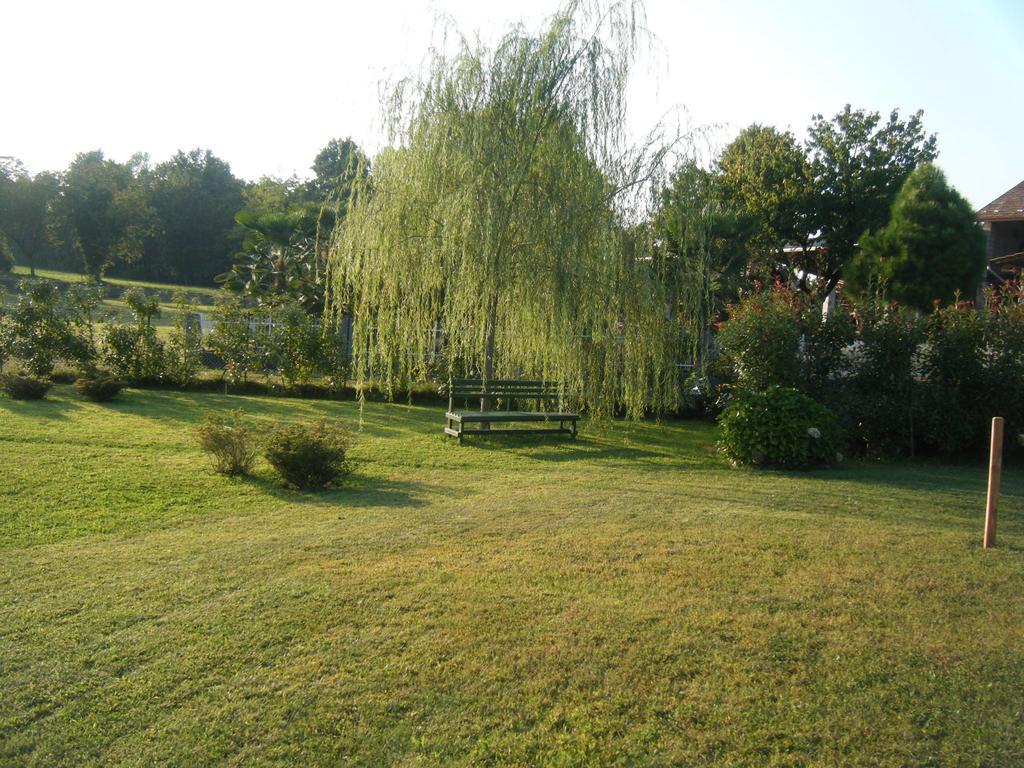 B&B Il Salice Veruno Zewnętrze zdjęcie