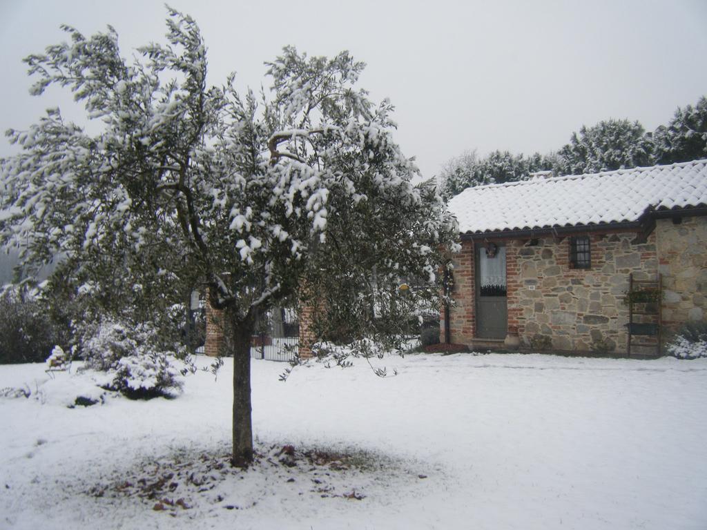 B&B Il Salice Veruno Zewnętrze zdjęcie